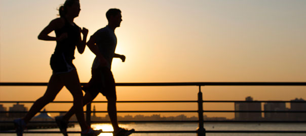 An Introduction to Joint Health