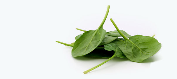 Methylation- energy for life and living