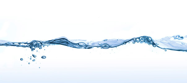 The Importance of Detoxification for Preconception Planning