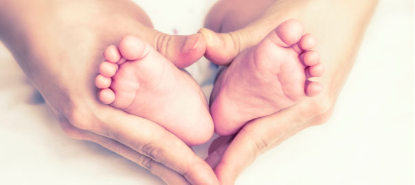 Focusing on Fertility