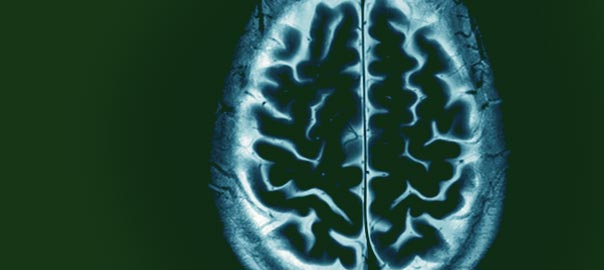 In the News - Health and Nutrition Research