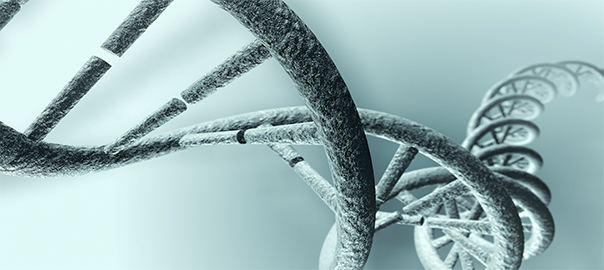 Nutrigenomics and Autism