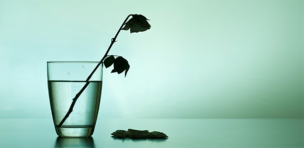 Is Depression an Inflammatory Disease?