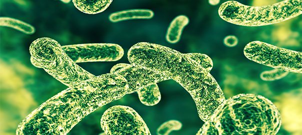 The Microbial Translocation of Lipopolysaccharide - A Key Mediator of Disease