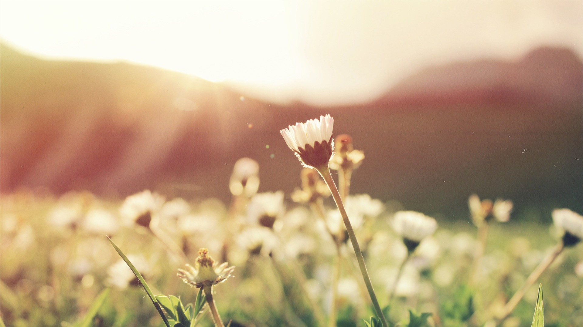 Vitamin D - New government guidelines