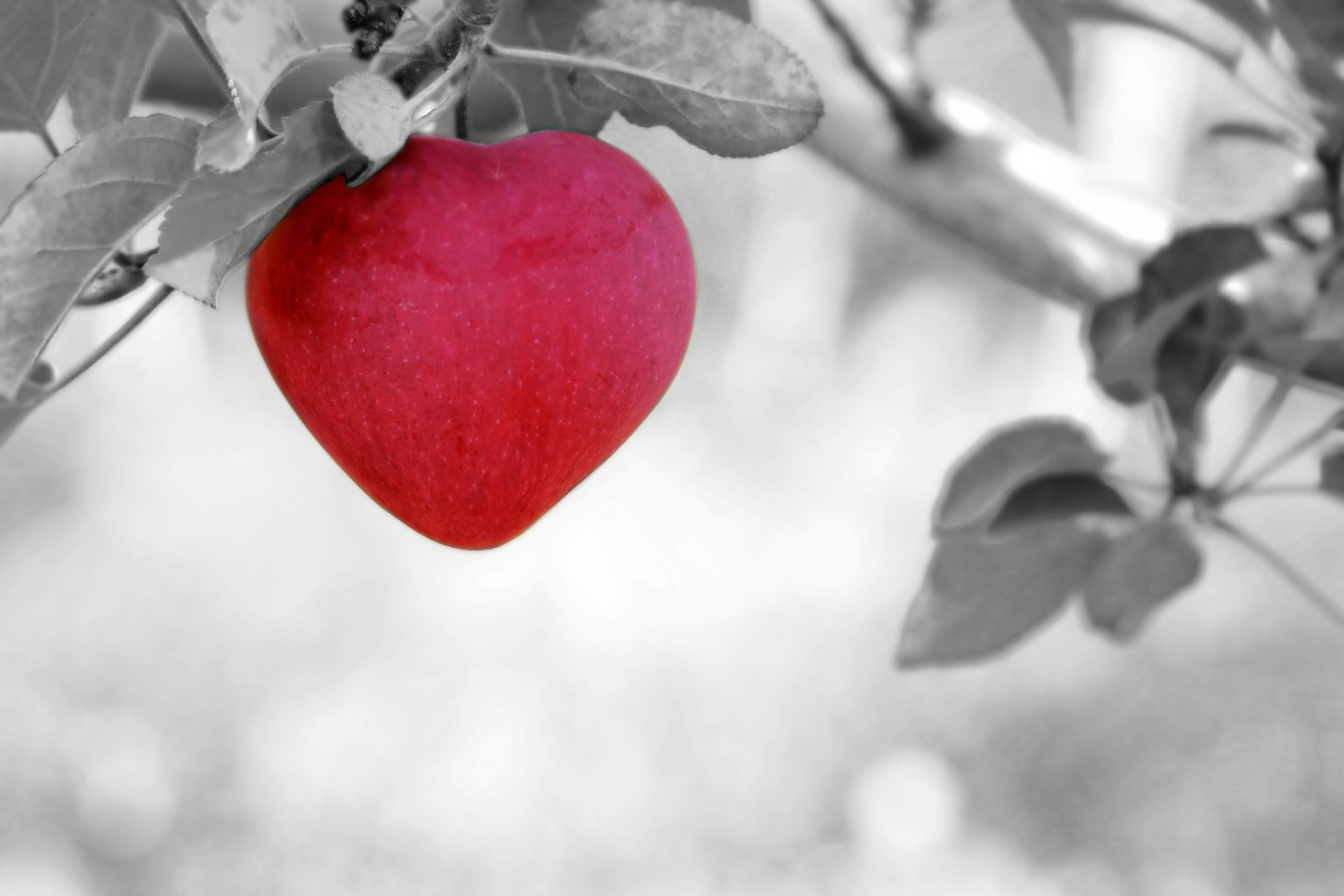 In the News - Health and Nutrition Research