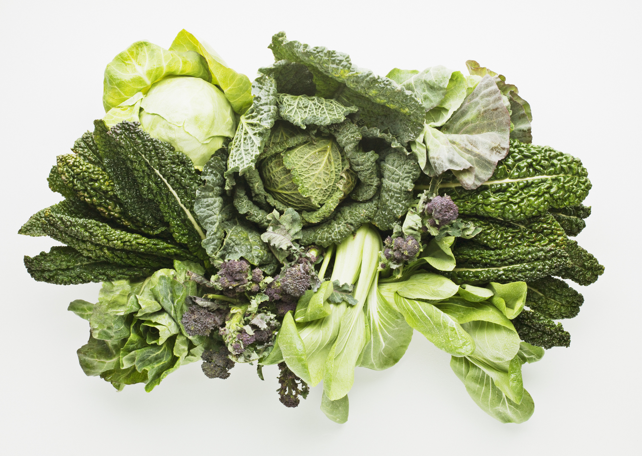 Nutritional interventions for Multiple Sclerosis