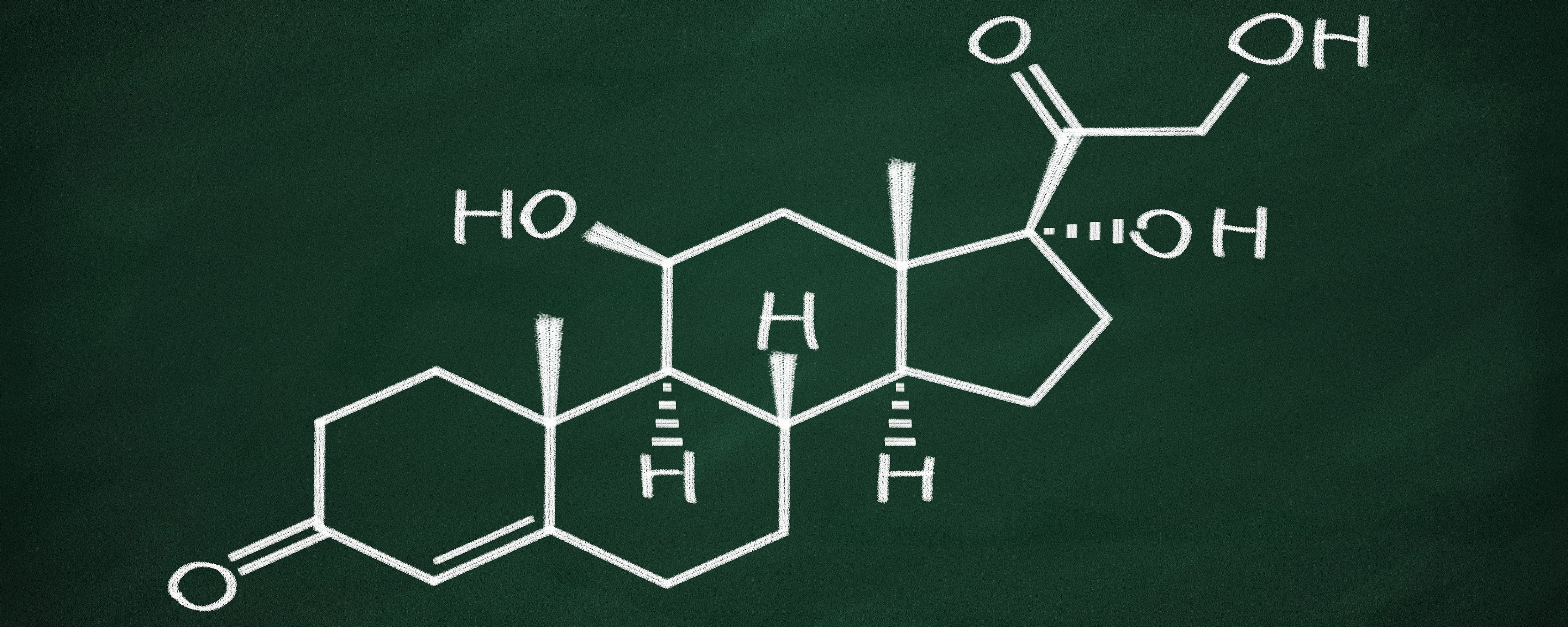 How stress rewires the brain