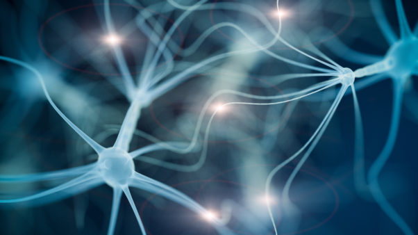 In the news - health and nutrition research