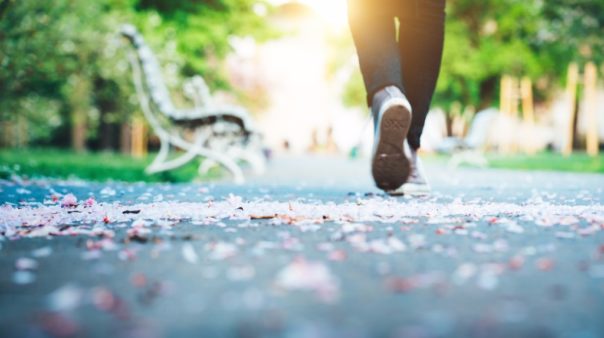 In the news - health and nutrition research