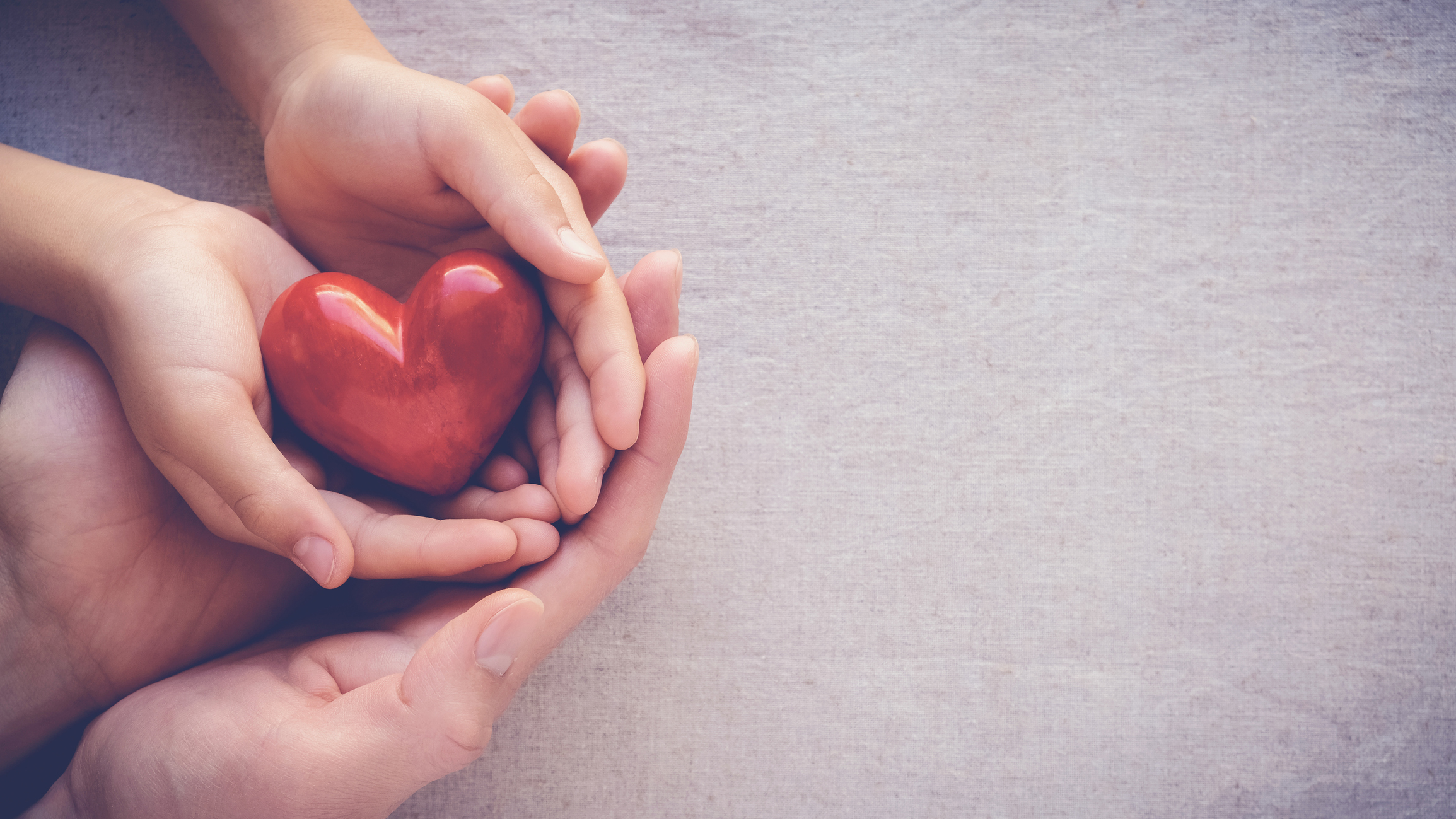 The charitable activity of Cytoplan & The AIM Foundation in 2017