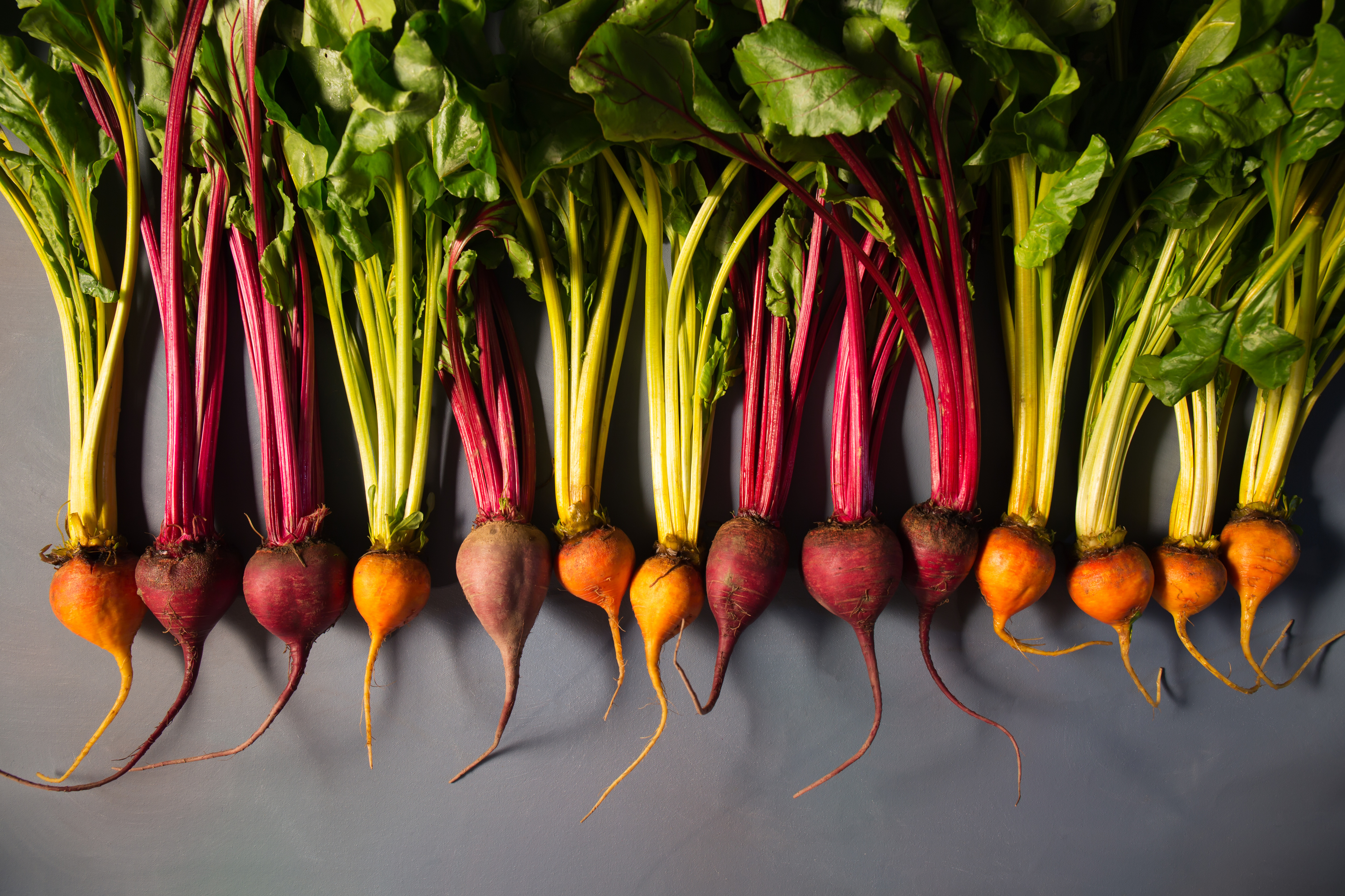 In the news - health and nutrition research