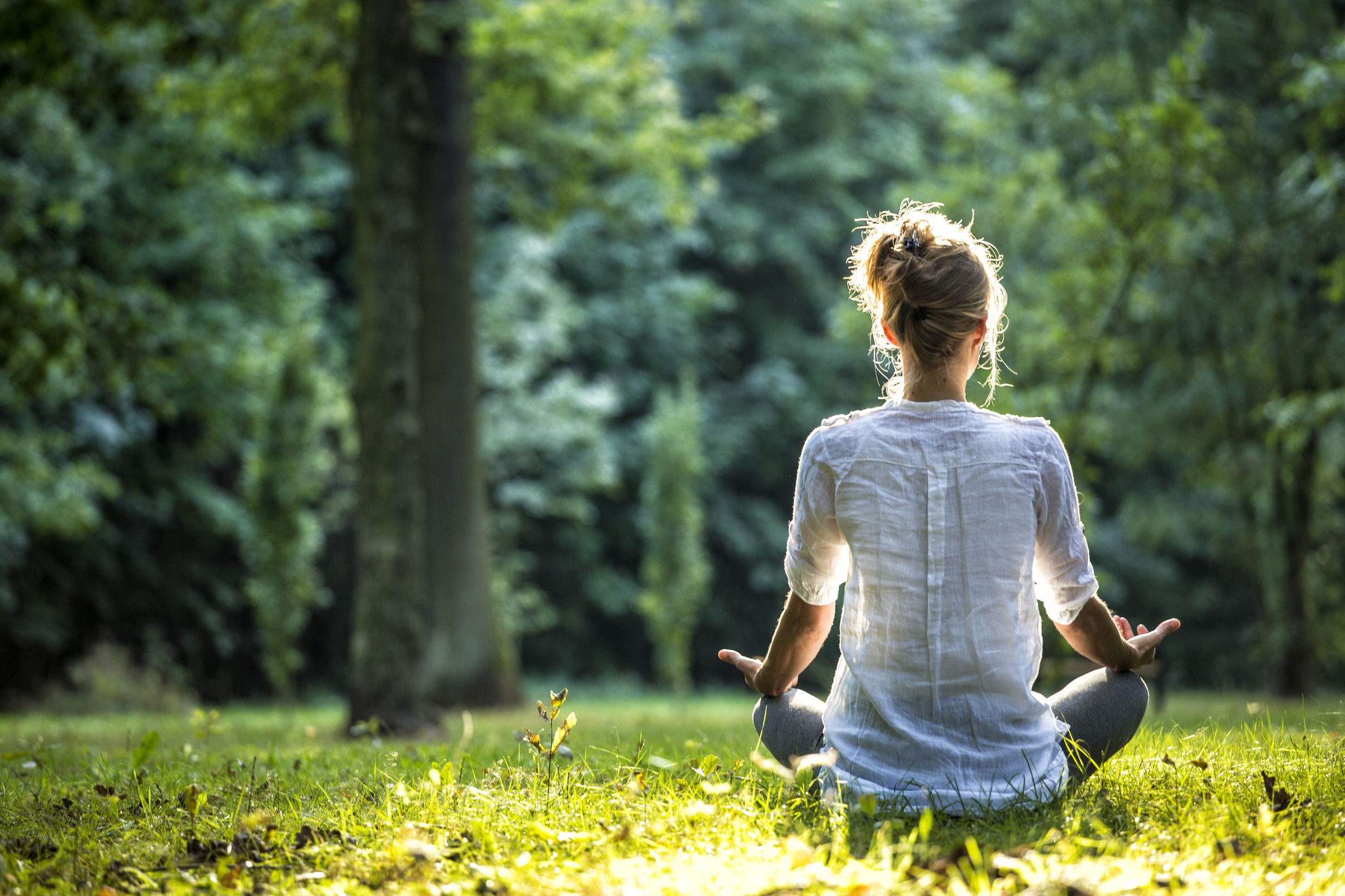 L-theanine – the meditation compound