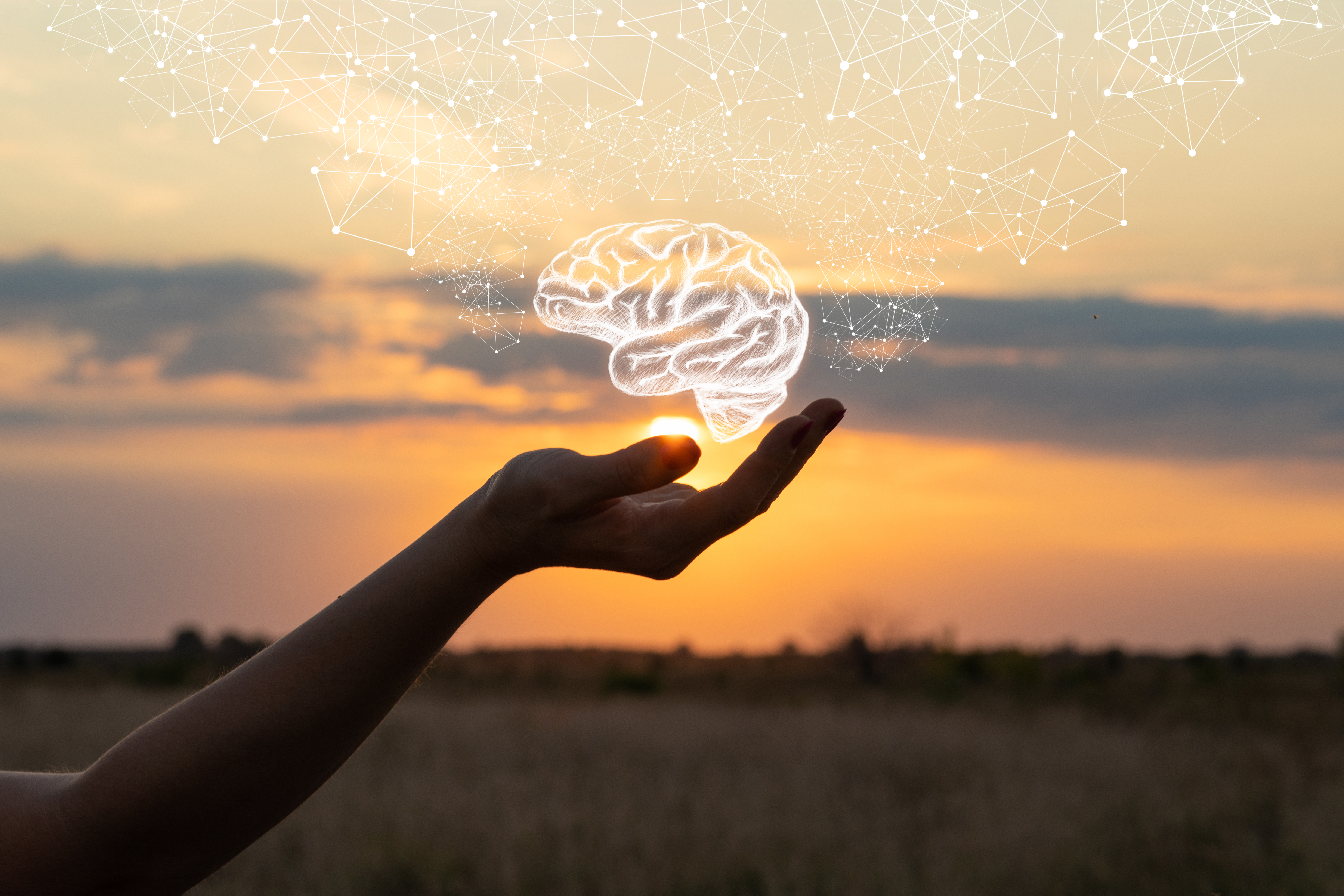 When your second brain gets old and what to do about it: the ageing of the enteric nervous system