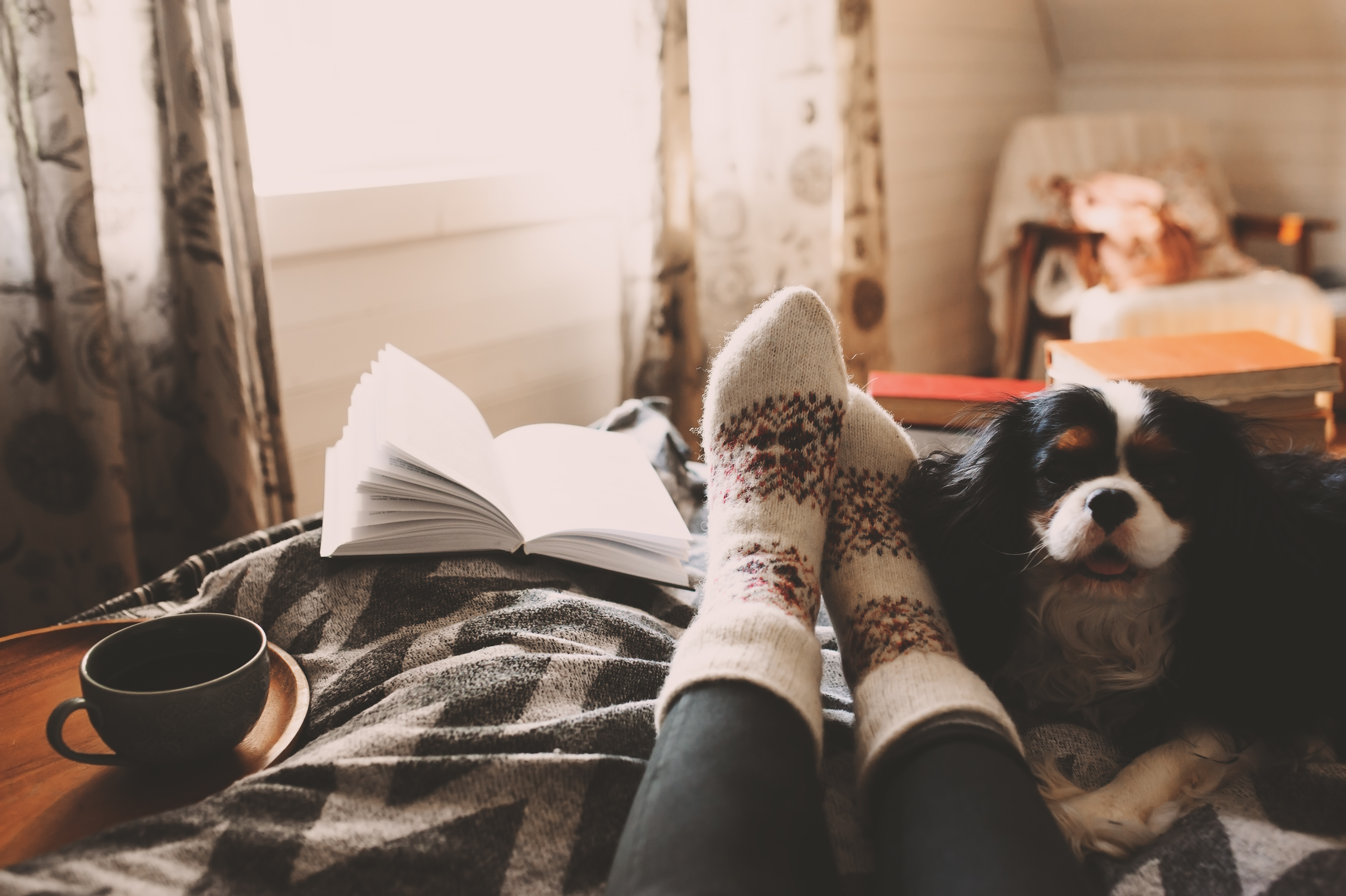 Navigating the seasons: Considerations for a seamless winter transition