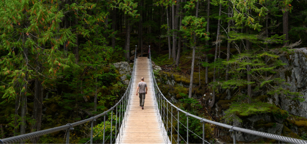 Bridging the gap