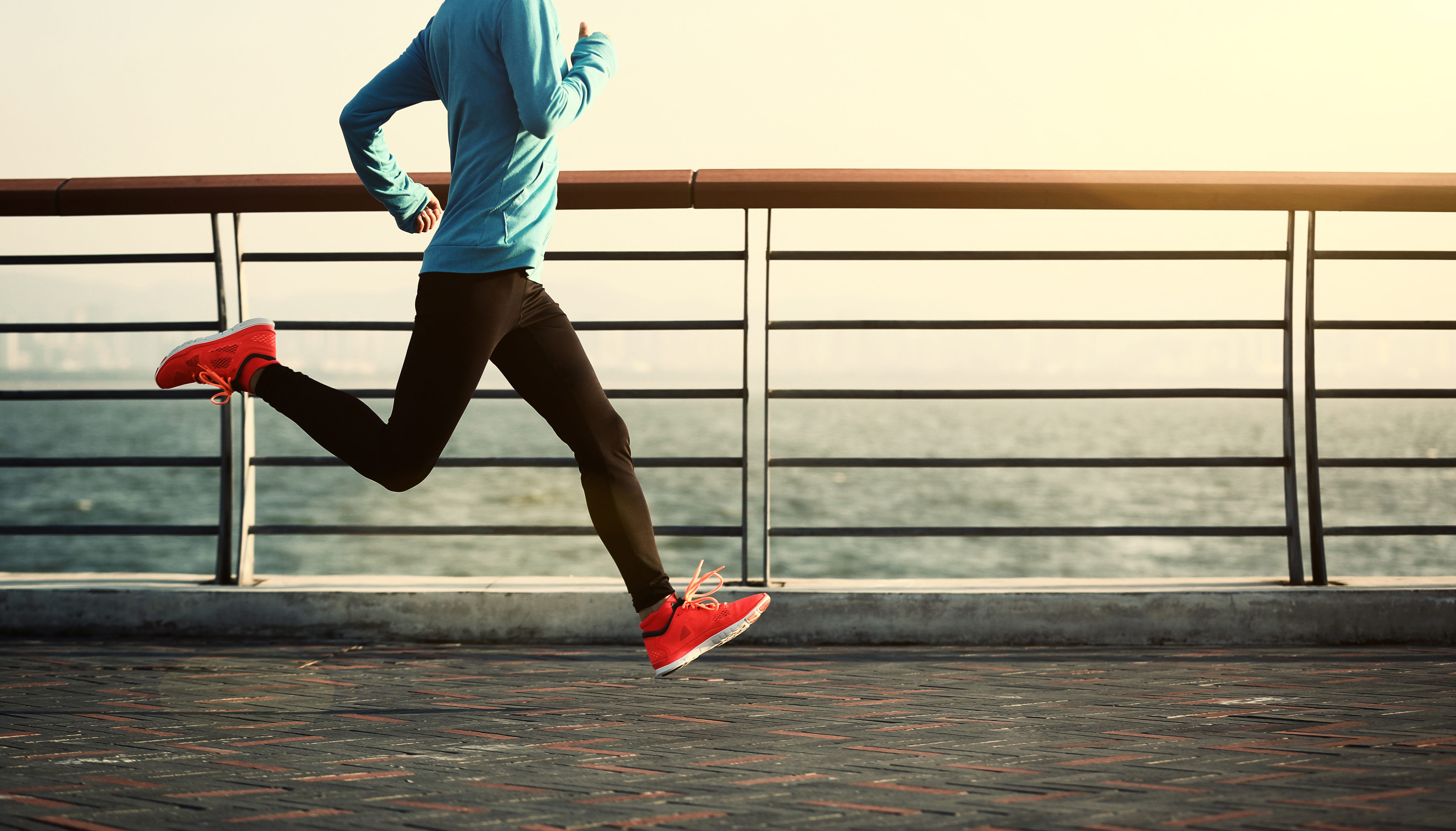 Cardiovascular disease – the role of inflammation and oxidative stress