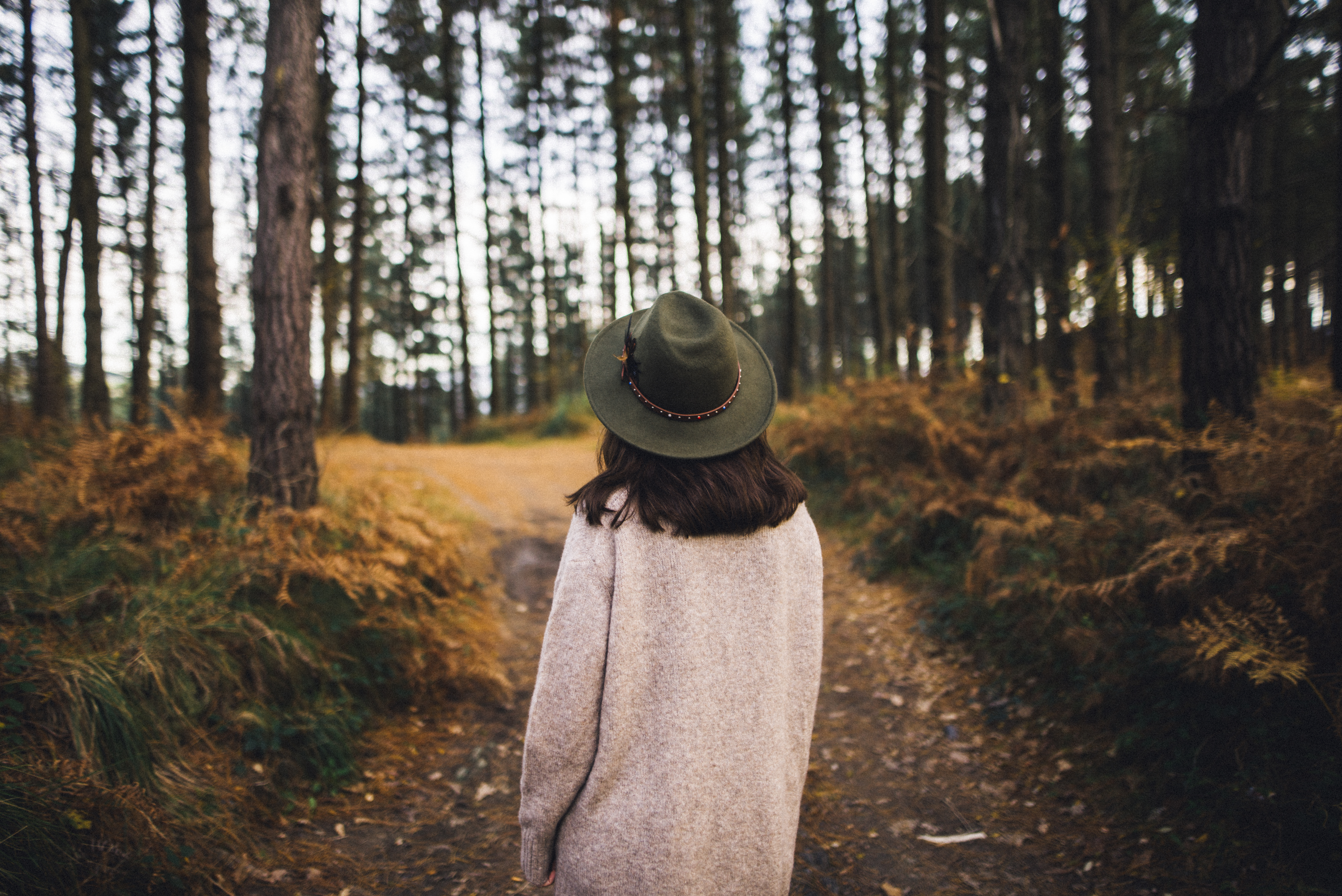 The road to wellbeing
