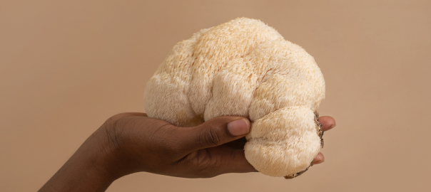 hericium erinaceus effects of glutathione Lion's Mane Mushroom (Hericium erinaceus): A Neuroprotective Fungus with Antioxidant, Anti-Inflammatory, and Antimicrobial PotentialA Narrative Review Lion's Mane Mushrooms: What Are