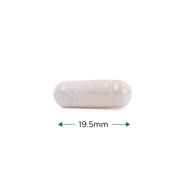 Vitamin B12 Capsules - High Strength Methylated Supplement