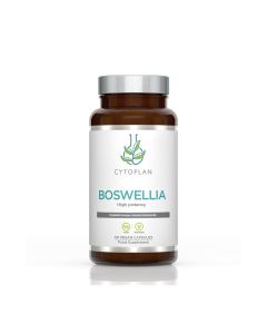 Boswellia