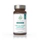 Circulatory Support   