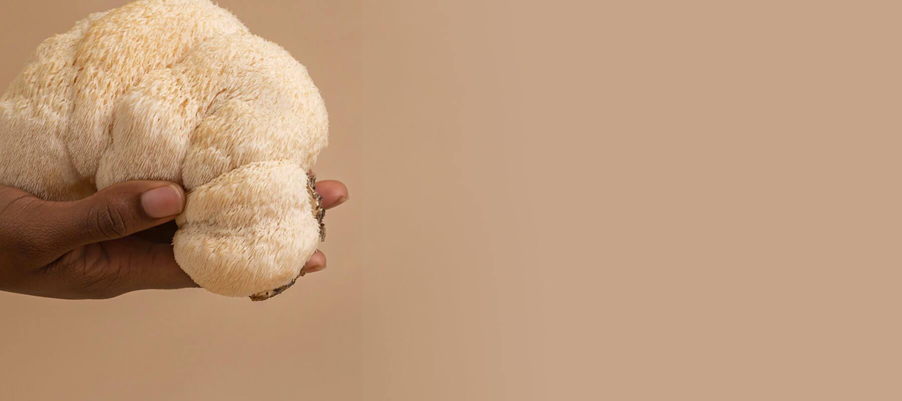 Brain & Cognitive Health