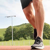 Blood Sugar & Metabolism